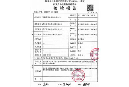 BVR 2.5質(zhì)檢報(bào)告